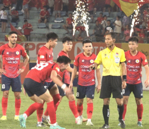 Bối cảnh trọng tài Lê Vũ Linh